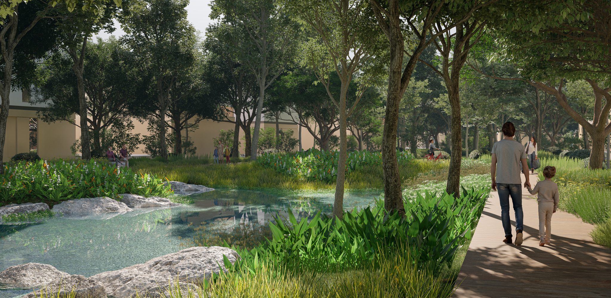 BIALOWEIZA PARK_WADI