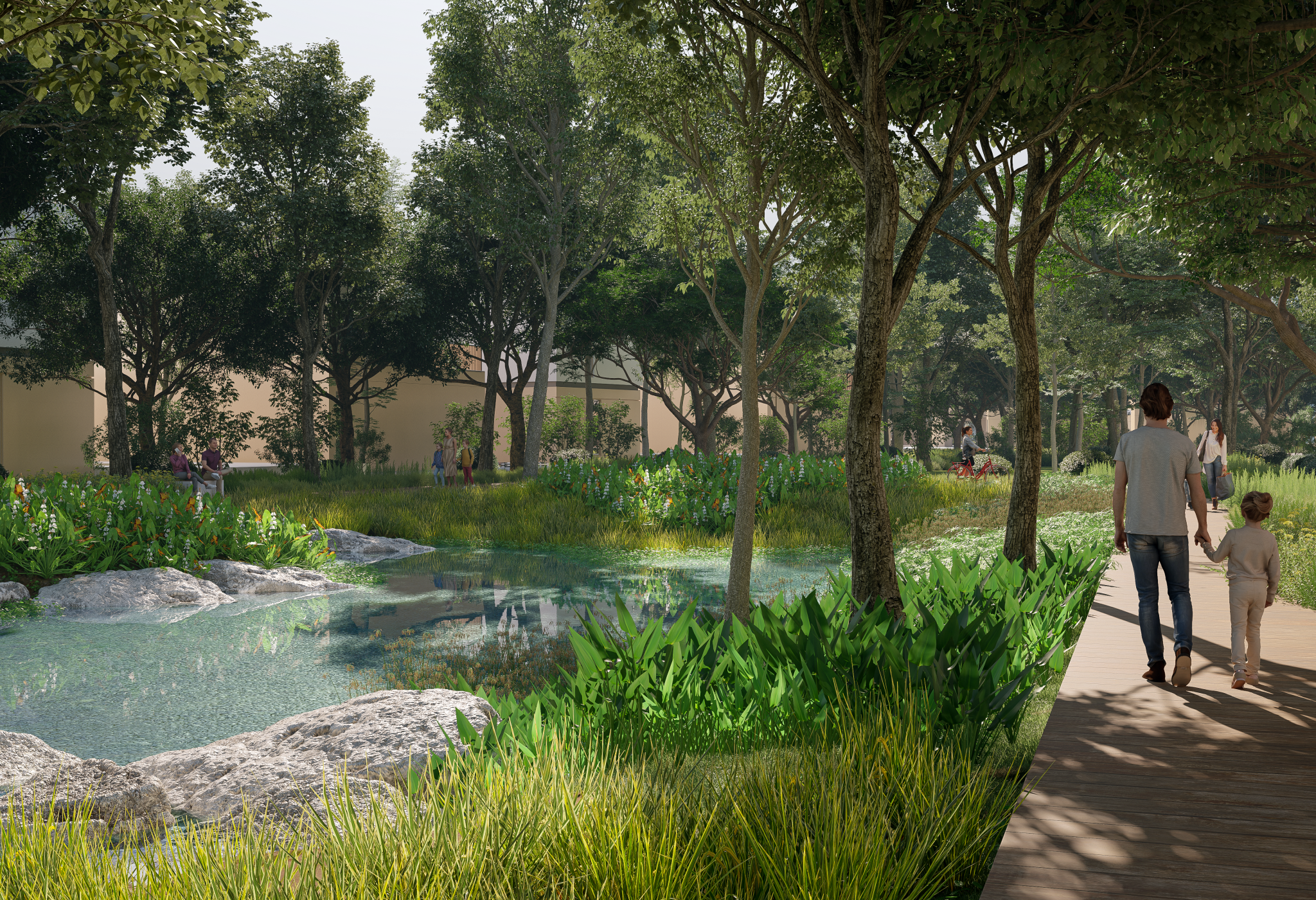 BIALOWEIZA PARK_WADI