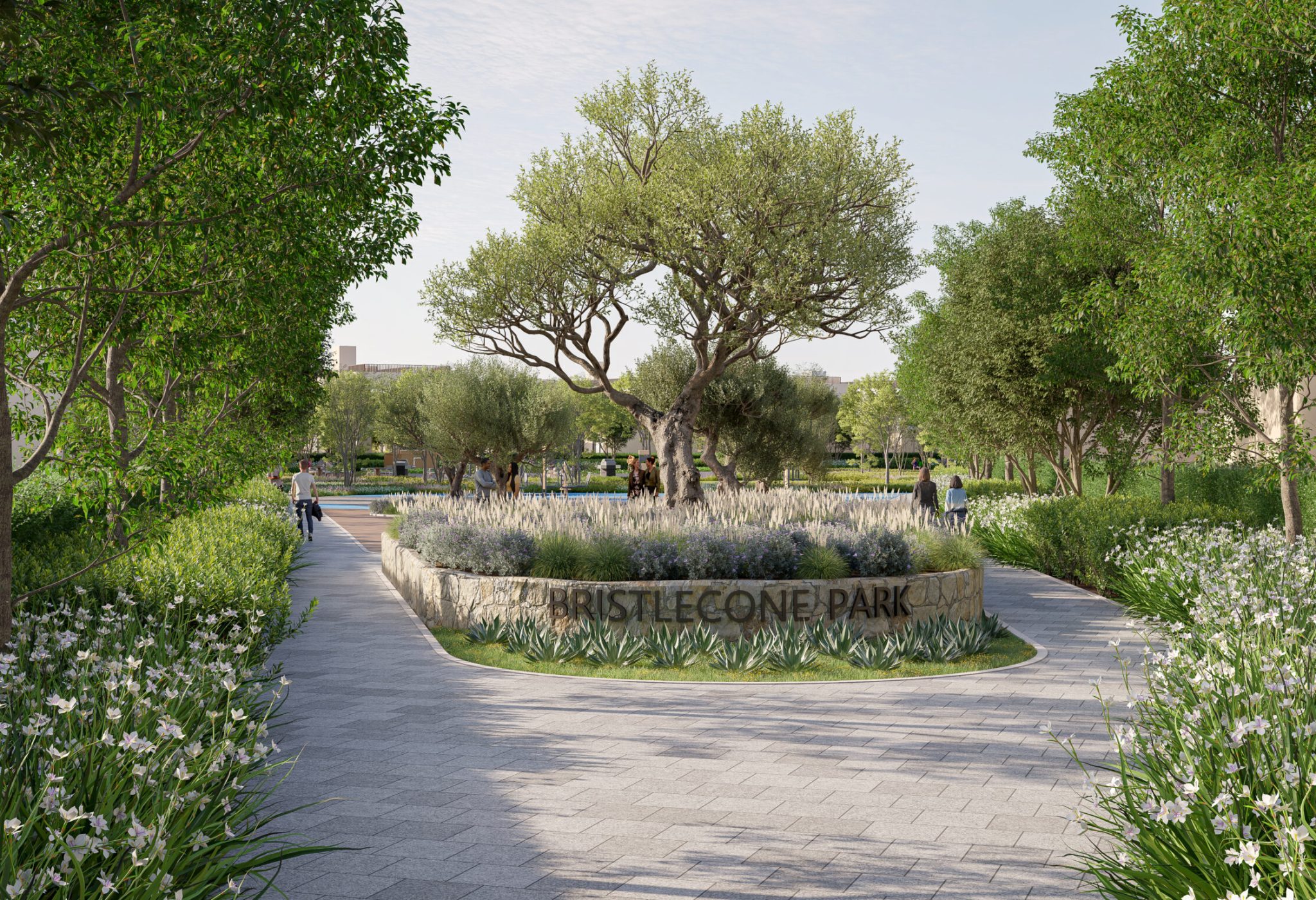BRISTLECONE PARK_ENTRY